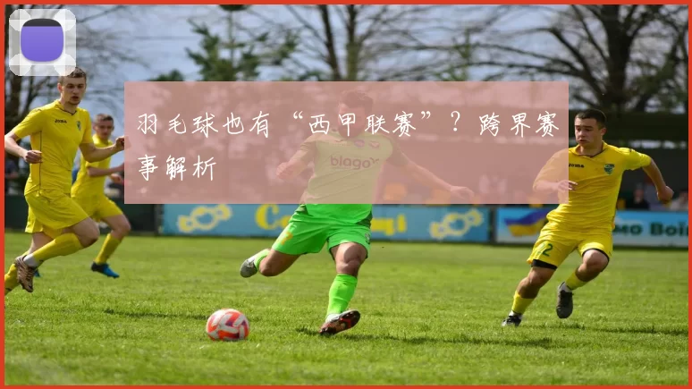 羽毛球也有“西甲联赛”？跨界赛事解析