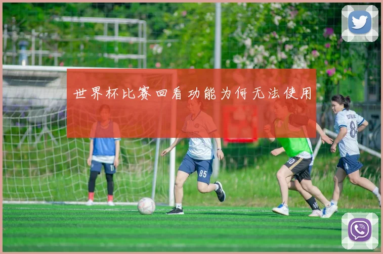 世界杯比赛回看功能为何无法使用