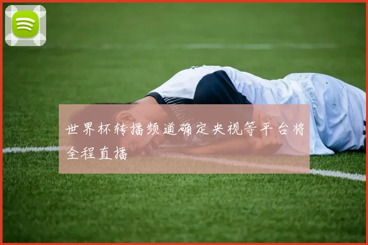 世界杯转播频道确定央视等平台将全程直播
