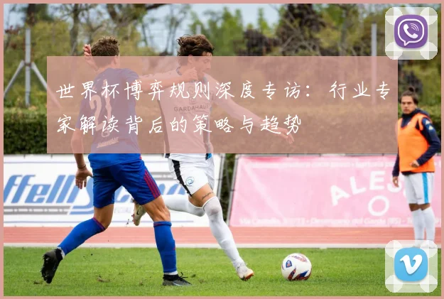 世界杯博弈规则深度专访：行业专家解读背后的策略与趋势