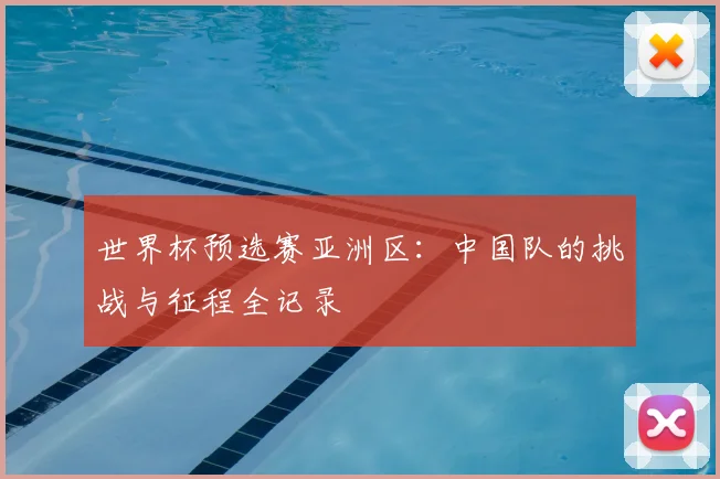 世界杯预选赛亚洲区：中国队的挑战与征程全记录