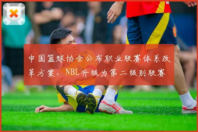 中国篮球协会公布职业联赛体系改革方案,NBL升级为第二级别联赛