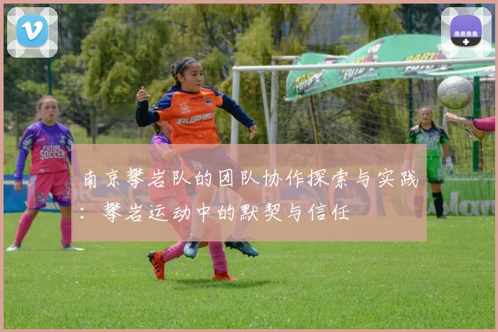 南京攀岩队的团队协作探索与实践：攀岩运动中的默契与信任