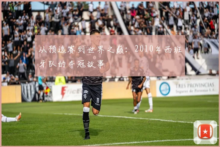 从预选赛到世界之巅:2010年西班牙队的夺冠故事