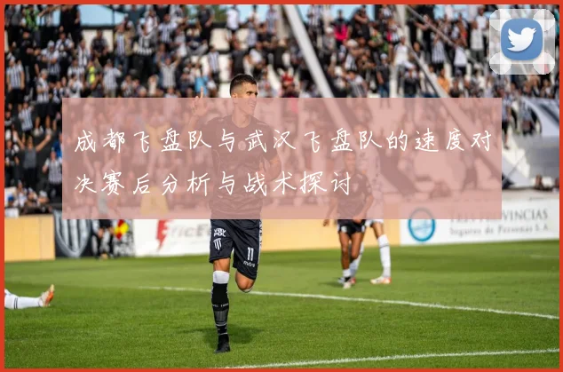 成都飞盘队与武汉飞盘队的速度对决赛后分析与战术探讨