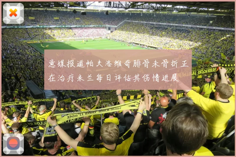 意媒报道帕夫洛维奇腓骨未骨折正在治疗米兰每日评估其伤情进展