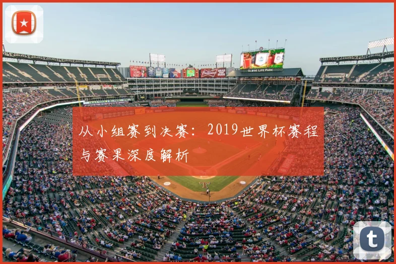 从小组赛到决赛:2019世界杯赛程与赛果深度解析