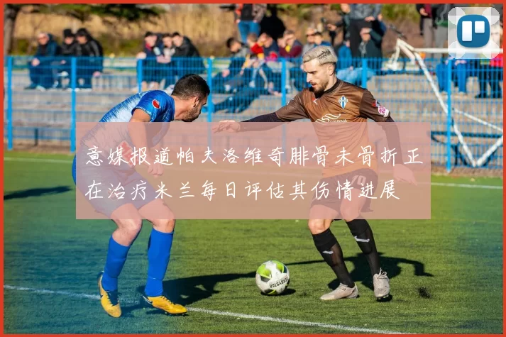 意媒报道帕夫洛维奇腓骨未骨折正在治疗米兰每日评估其伤情进展