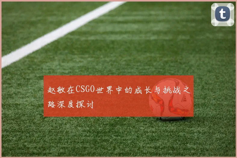 赵敏在CSGO世界中的成长与挑战之路深度探讨