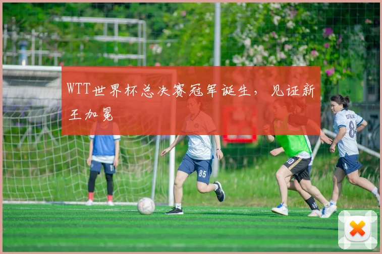 WTT世界杯总决赛冠军诞生，见证新王加冕