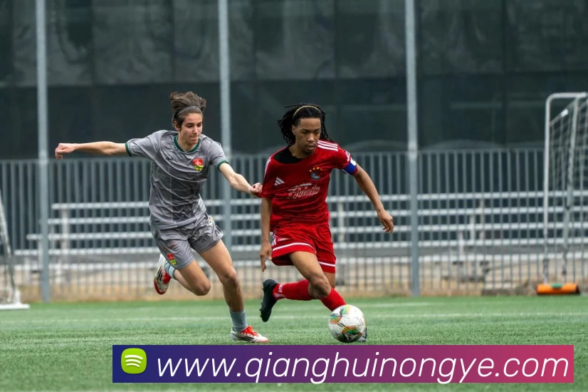 J9集团APP 高清赛事图